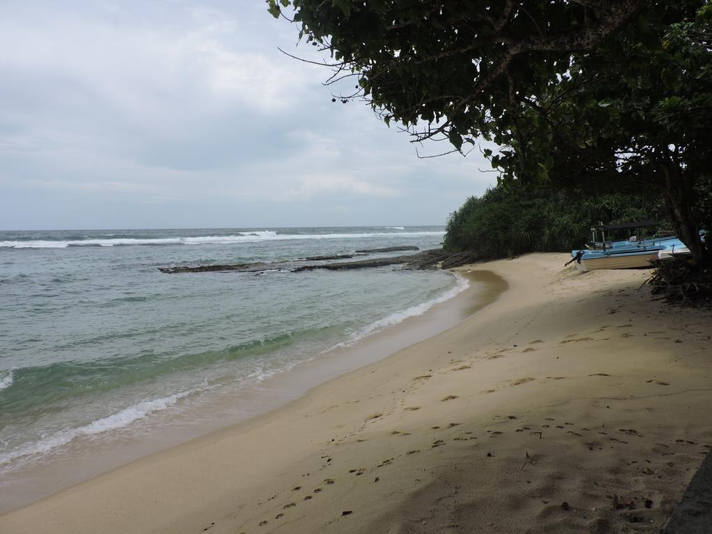 Paradise Beach Resort & Diving School Mirissa Eksteriør bilde